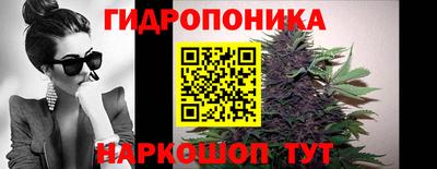 Альфа ПВП Бийск