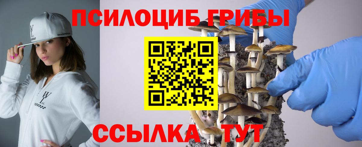 Галлюциногенные грибы ЛСД Верхняя Пышма