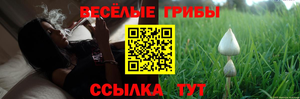 МДМА  A-PVP СК   Мефедрон   Гашиш  Верхняя Пышма  Метадон  Кодеин  COCAIN  МАРИХУАНА 